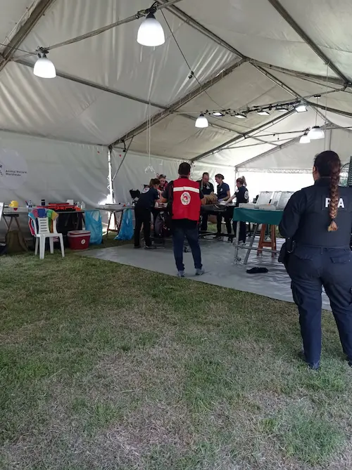 Evento elegante con carpas y decoración profesional 3